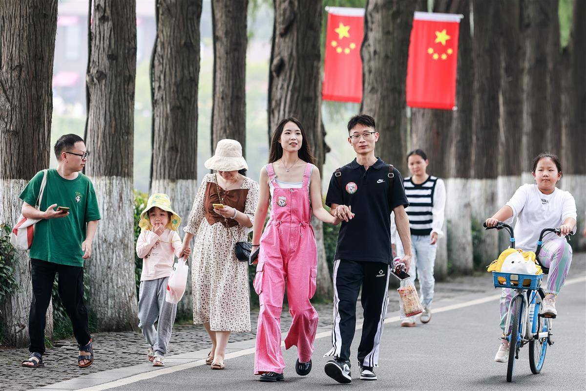 红树林开奖直播
